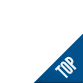 Topartikel